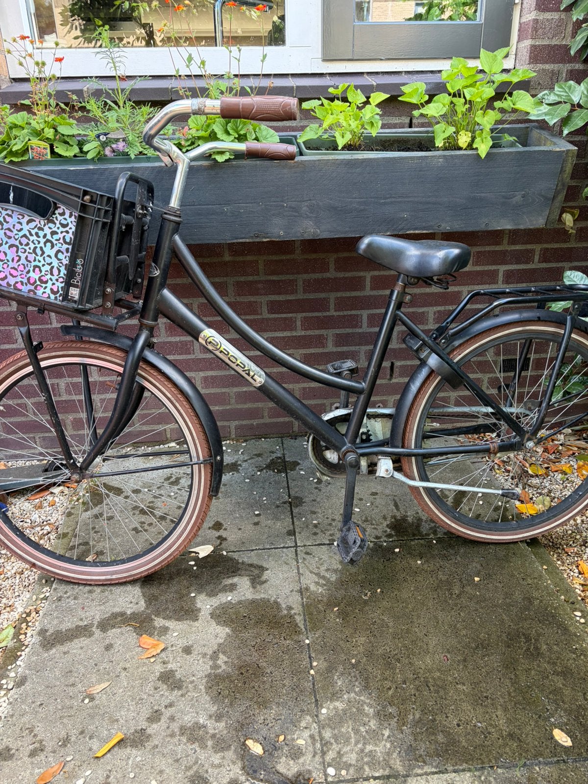 Popal meisjesfiets, Fietsen en Brommers, Fietsen | Meisjes, Ophalen, Terugtraprem, Venetiëstraat 56, Cortina