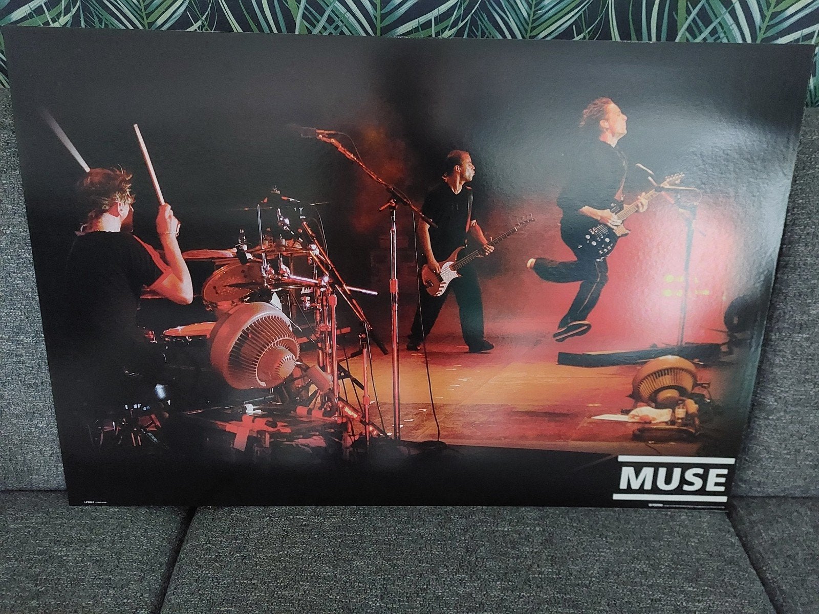MUSE posterbord live concert - 90x60cm, Ophalen, Zo goed als nieuw, Rechthoekig Liggend, Muziek