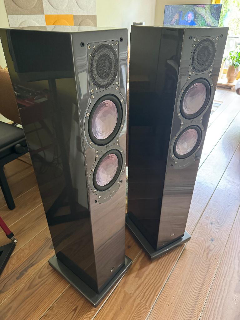 Elac FS210 CE (Crystal Edition), Audio, Tv en Foto, Luidsprekers, Gebruikt, 60 tot 120 watt, Front, Rear of Stereo speakers, Ophalen