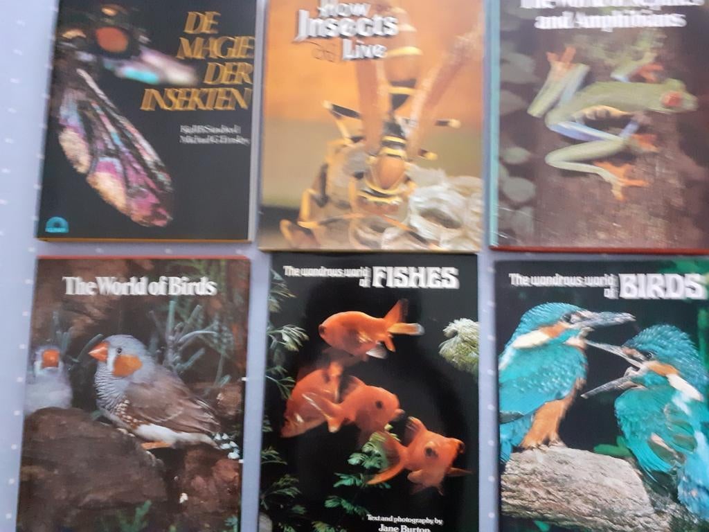 boeken over de wondere wereld,  INSECTEN,  BIRDS  &  VISSEN, Boeken, Ophalen of Verzenden, Zo goed als nieuw
