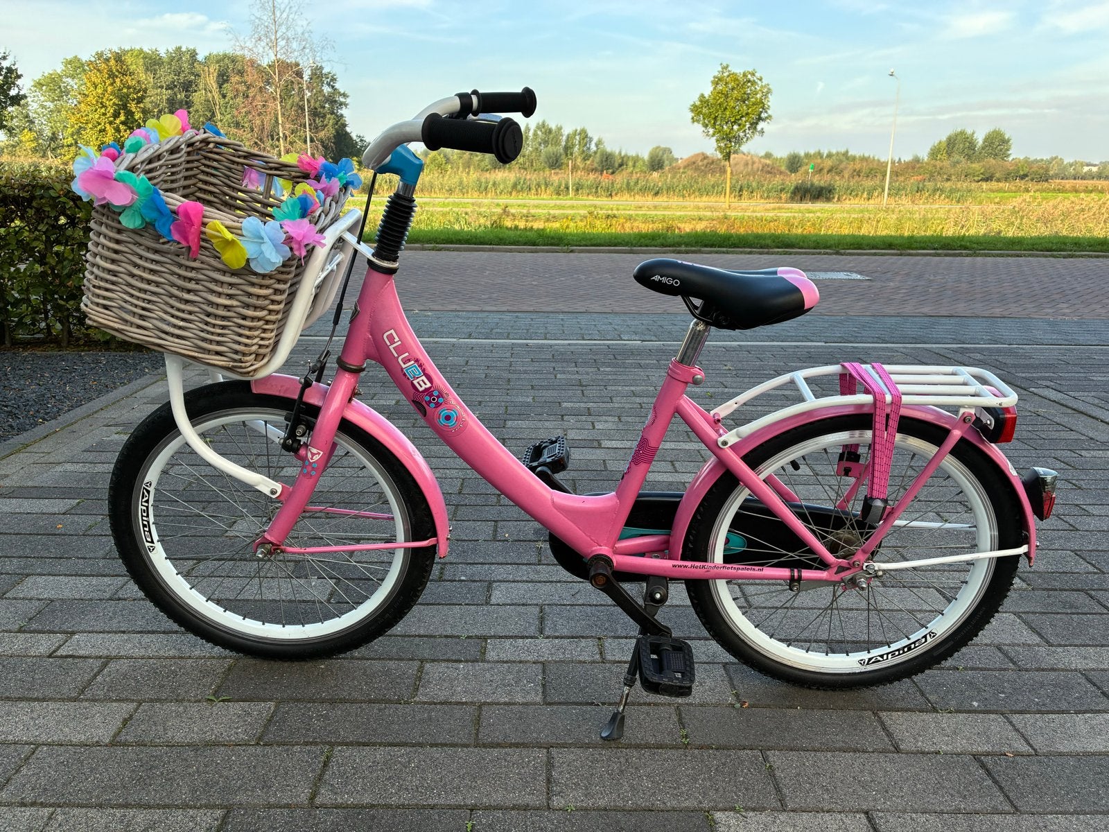 Roze kinderfiets met mandje - Alpina X-Club 20 inch, Ophalen, Gebruikt, Terugtraprem, 20 inch of meer