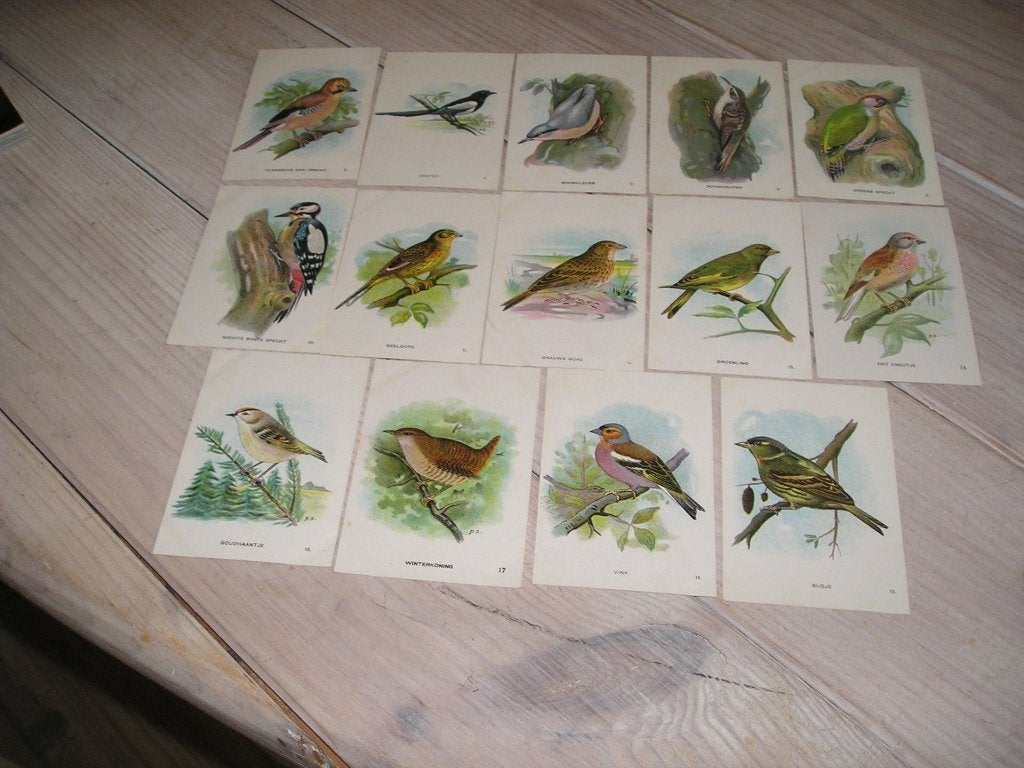 14 vogelplaatjes Tiktak 1926, Antiek en Kunst, Ophalen of Verzenden