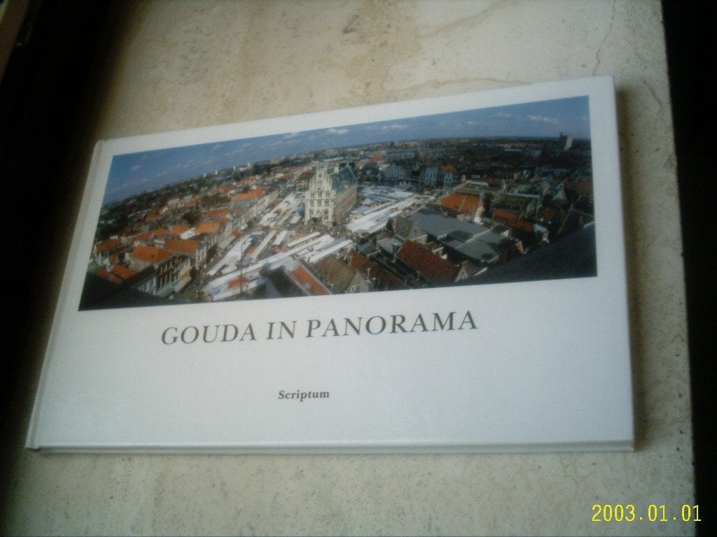 Gouda in panorama(ISBN 9071542407, Theo de Jong)., Ophalen of Verzenden, Zo goed als nieuw