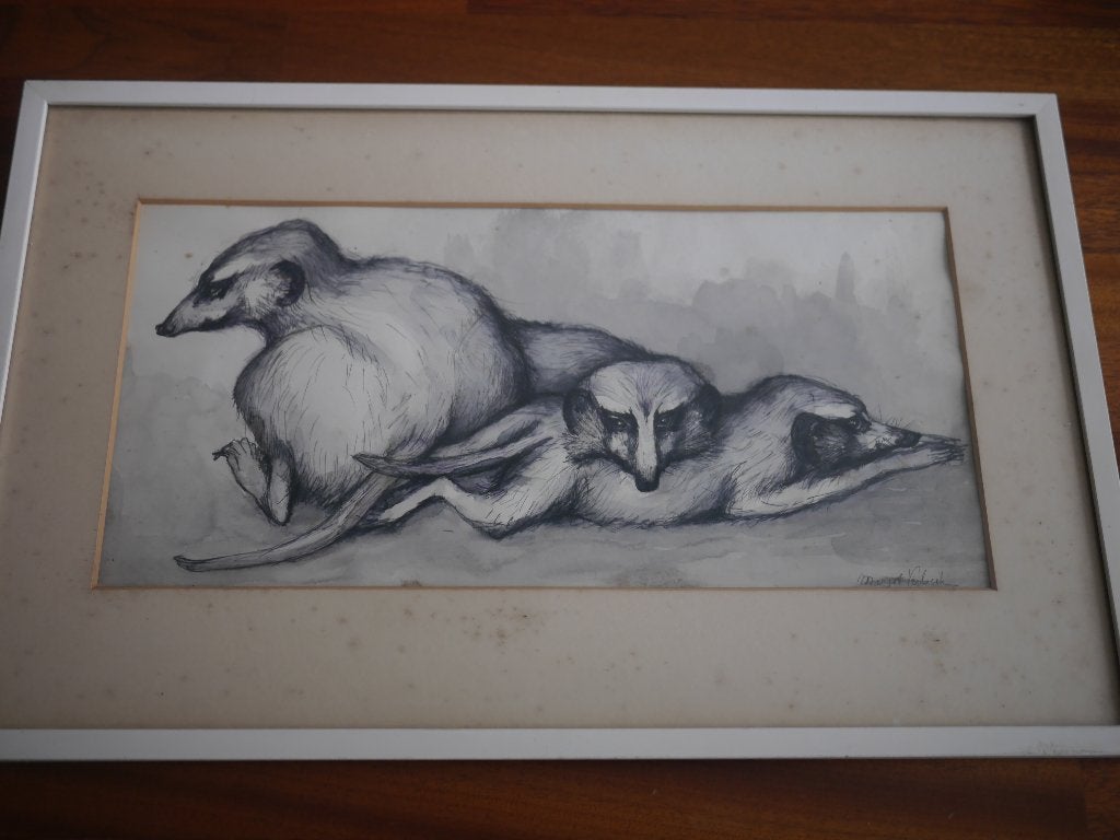 stokstaartjes,(artis) aquarel,  M.Verbeek, Antiek en Kunst, Ophalen of Verzenden
