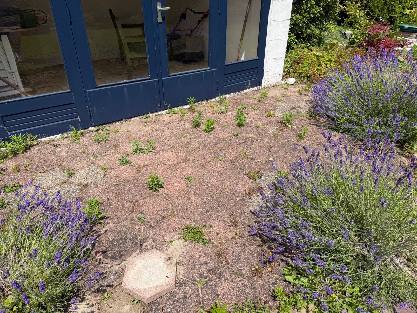 Terras stenen af te halen, Tuin en Terras, Tegels en Klinkers, Ophalen of Verzenden, Gebruikt, Beton, Klinkers