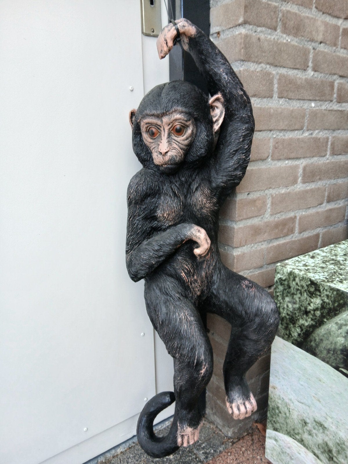 Polystone Hangende Aap Tuinbeeld Jungle beeld tuin mancave, Tuin en Terras, Tuinbeelden, Ophalen, Nieuw, Kunststof