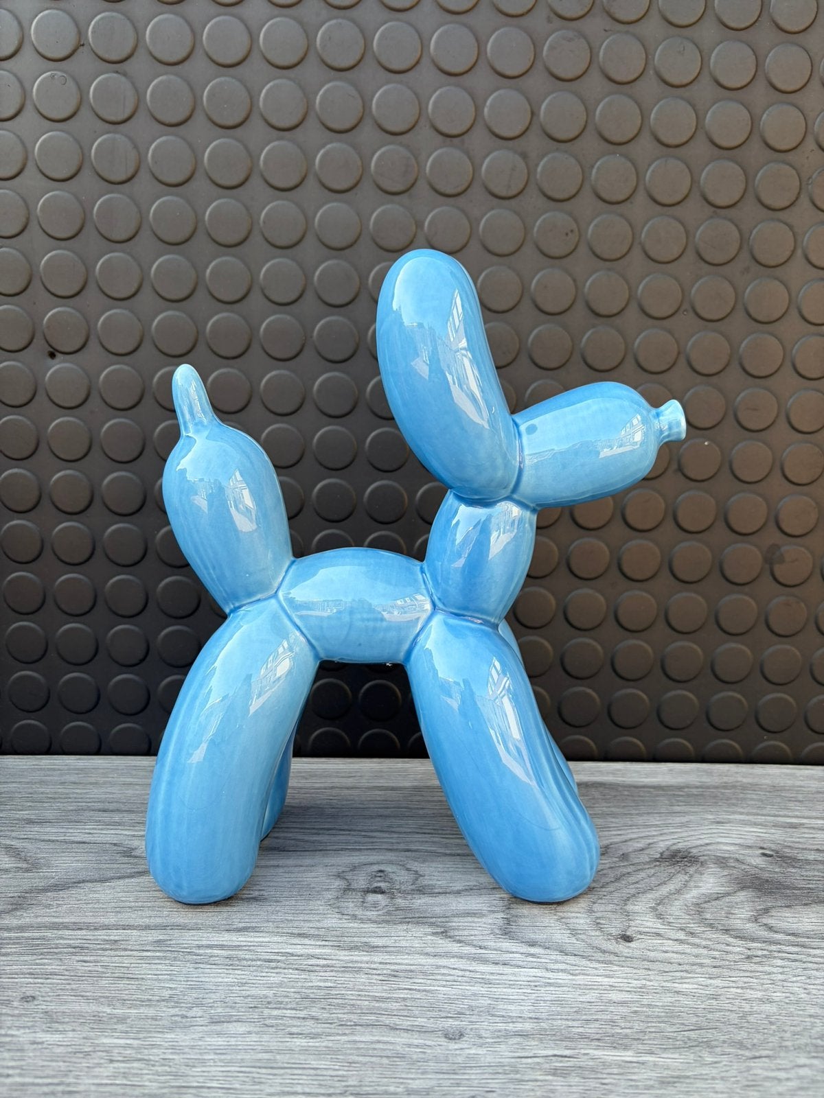 ballon hond 25x25cm/Nieuw!, Verzamelen, Ophalen of Verzenden, Nieuw, Dier