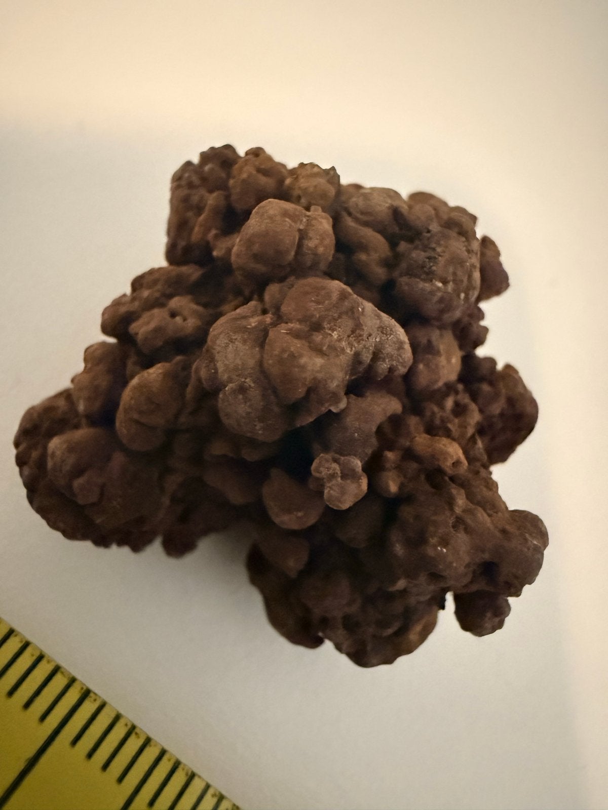 Coproliet (versteend uitwerpsel) - Mioceen periode, Ophalen of Verzenden, Fossiel
