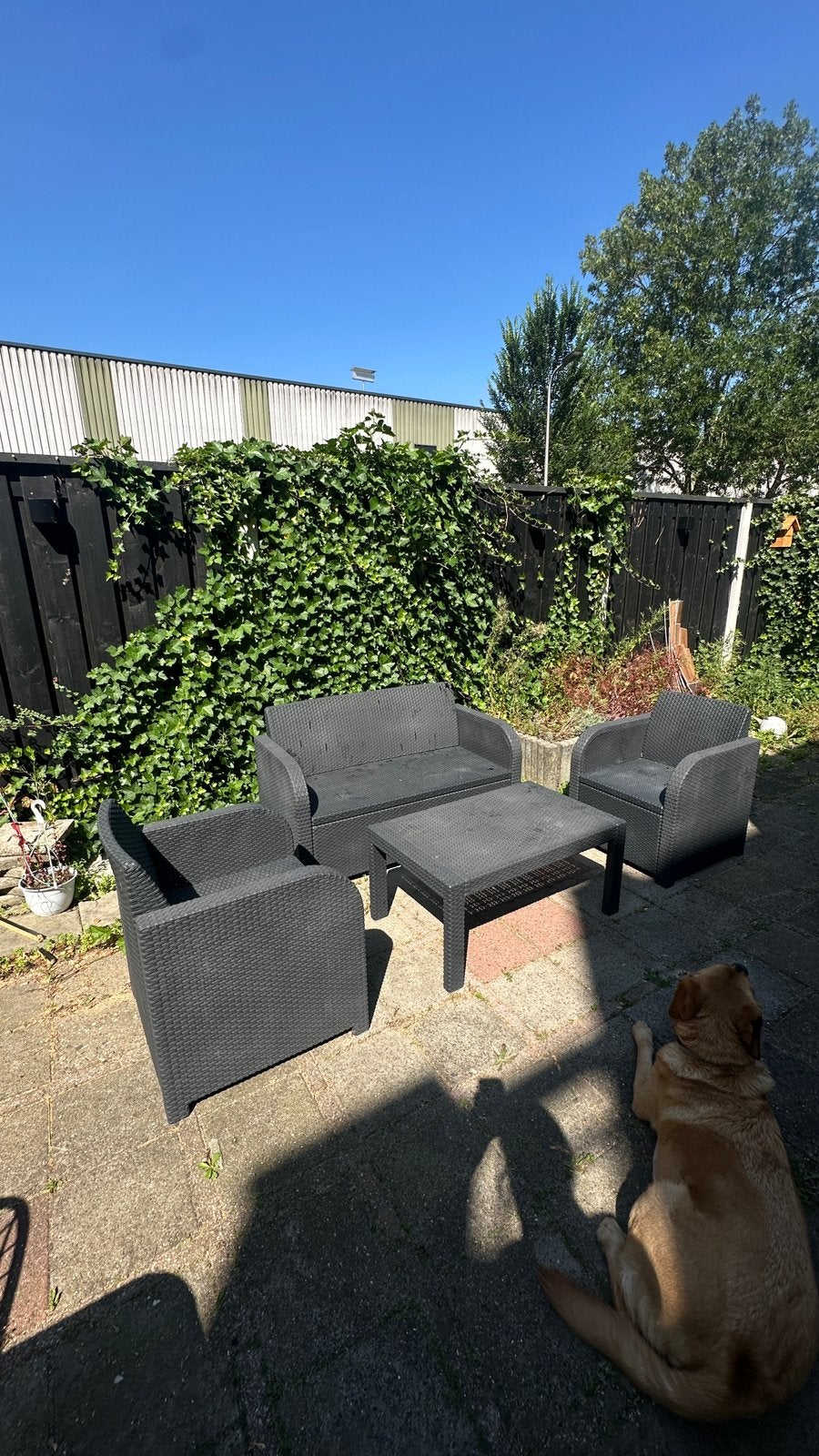 Rattan Tuin Lounge Set Met Schade T.E.A.B., Ophalen, 4 zitplaatsen, Gebruikt, Rotan