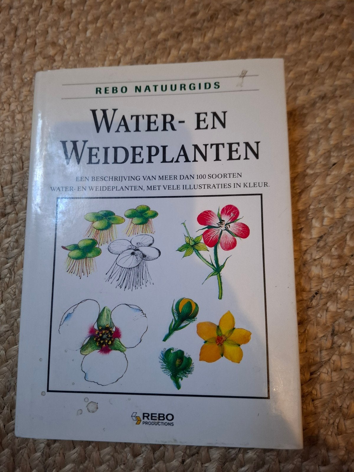 REBO Natuurgids: Water- en Weideplanten, Ophalen of Verzenden, Gelezen, Bloemen, Planten en Bomen, Onbekend
