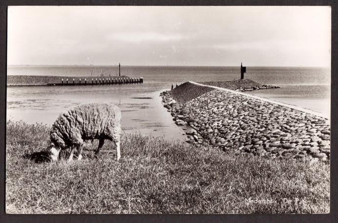 Medemblik, De Pier, schaap. 1962., Ophalen of Verzenden, 1960 tot 1980, Gelopen, Noord-Holland
