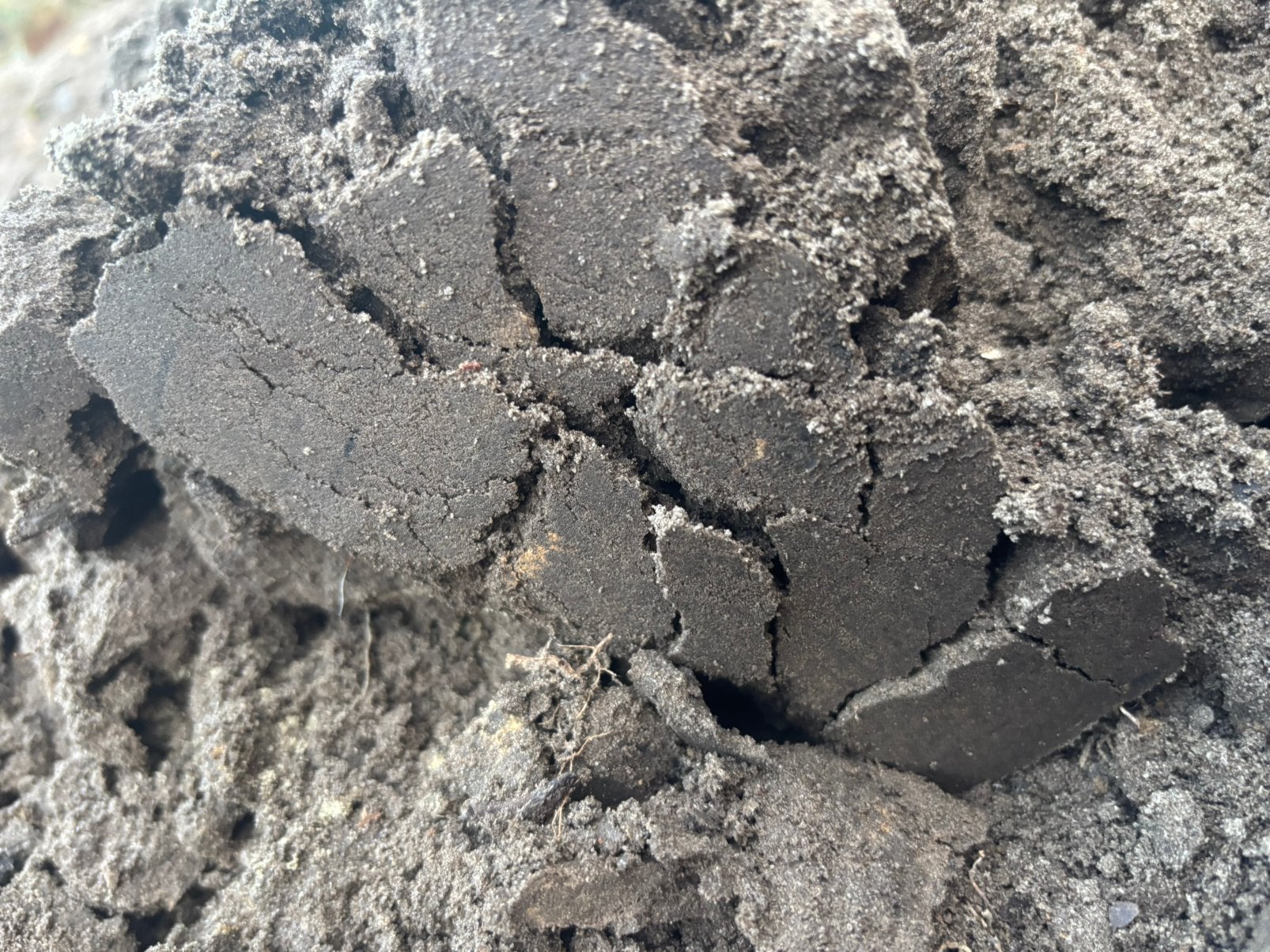 5 m³ zwart zand gratis!, Ophalen, Tuinaarde