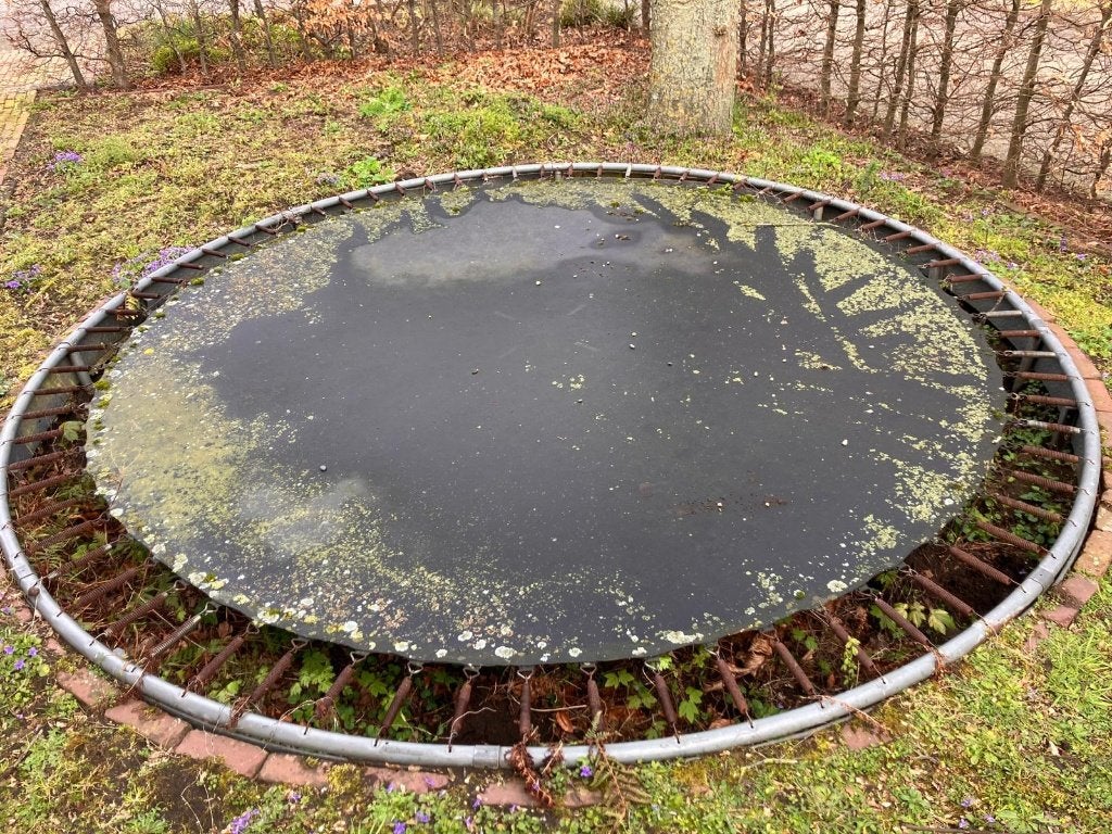 Gratis Trampoline 3.60 m met rand afhalen, Kinderen en Baby's, Speelgoed | Buiten | Trampolines, Ophalen, Gebruikt