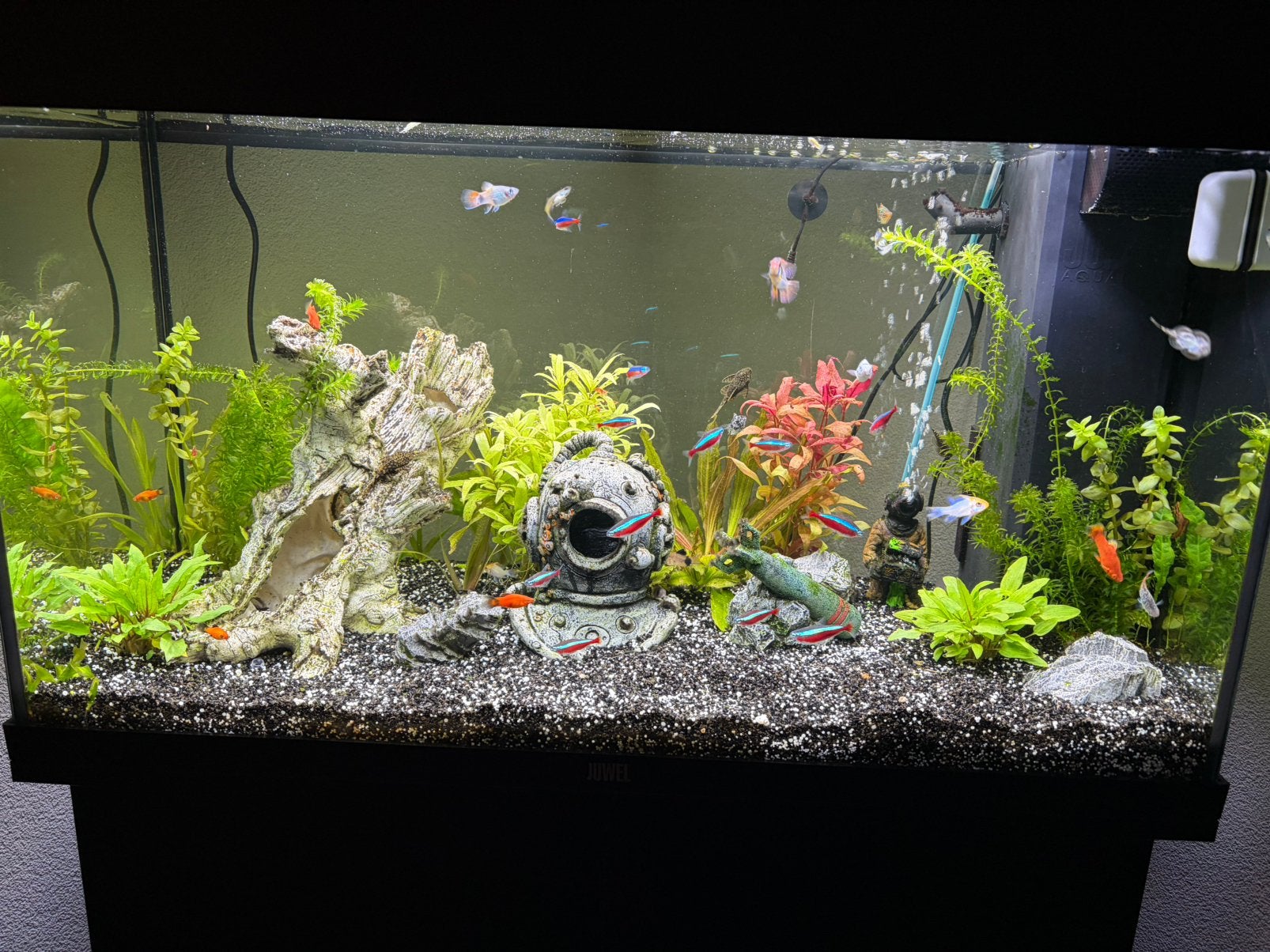 Juwel Rio 120 compleet met vissen ,smartfeed 2.0 en meer, Dieren en Toebehoren, Ophalen, Zo goed als nieuw, Leeg aquarium