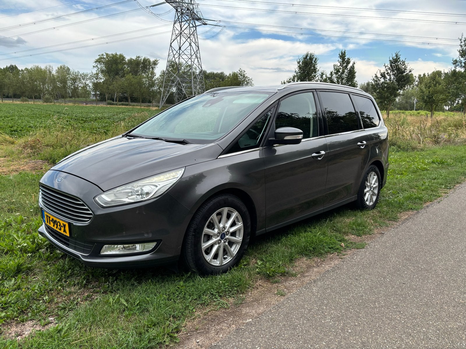 Ford Galaxy 2.0 Tdci EURO 6!!  2016 Grijs, Voorwielaandrijving, Stof, 4 cilinders, 2000 kg