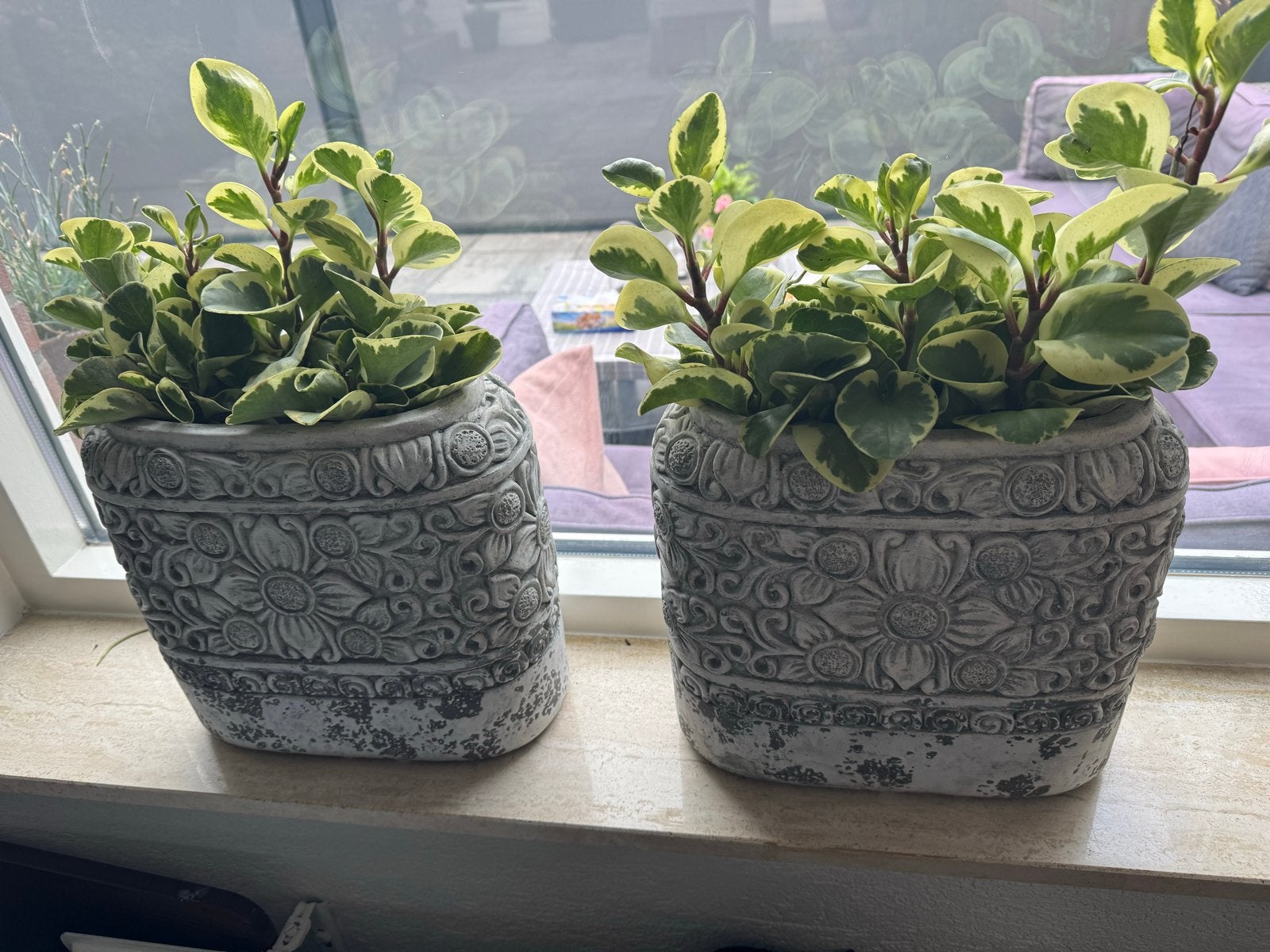 9 Potten van Pot & Mand - Decoratieve Bloempotten, Tuin en Terras, Bloempotten, Gebruikt, Rond, Binnen, Minder dan 40 cm