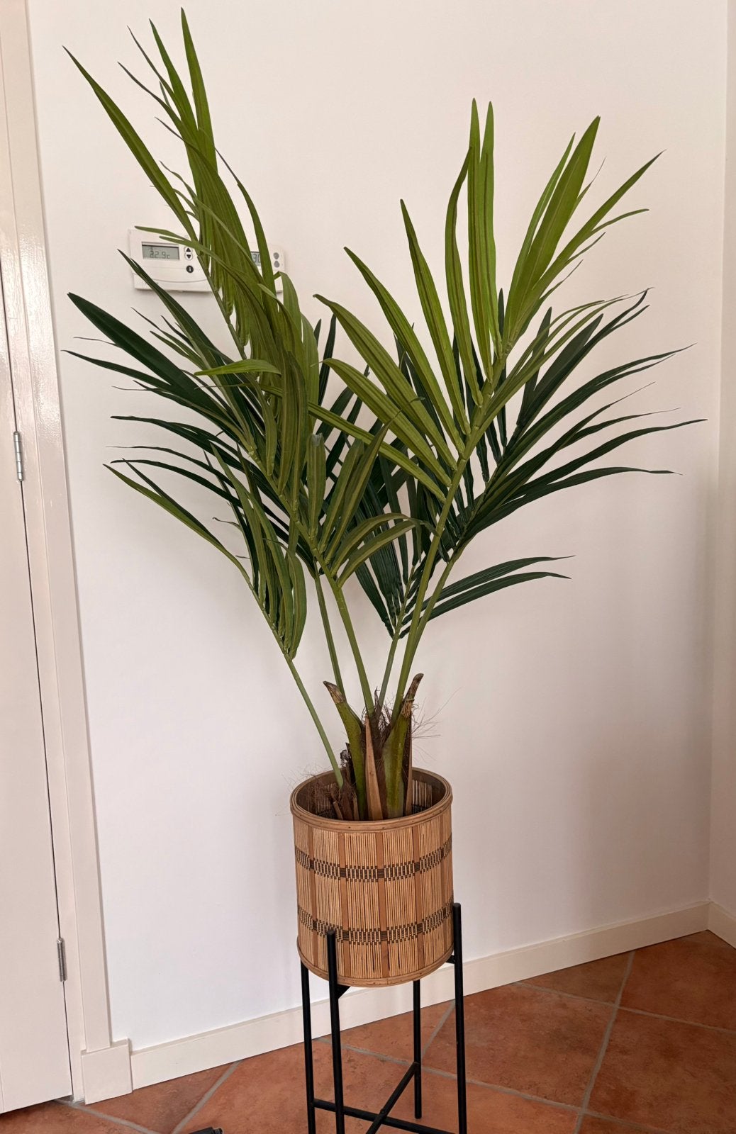 Grote kunstpalm 1.20 m, NIEUW in doos- Easyplants, Ophalen, Binnen, Groen, Kunstplant