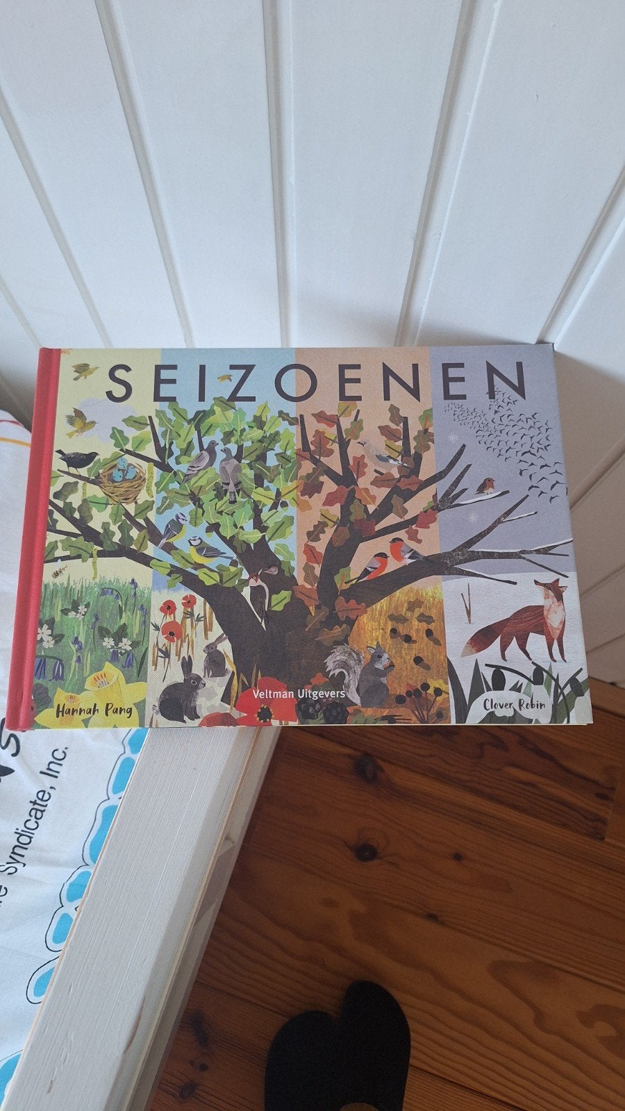 Hannah Pang - Seizoenen, Ophalen of Verzenden, Zo goed als nieuw, Hannah Pang