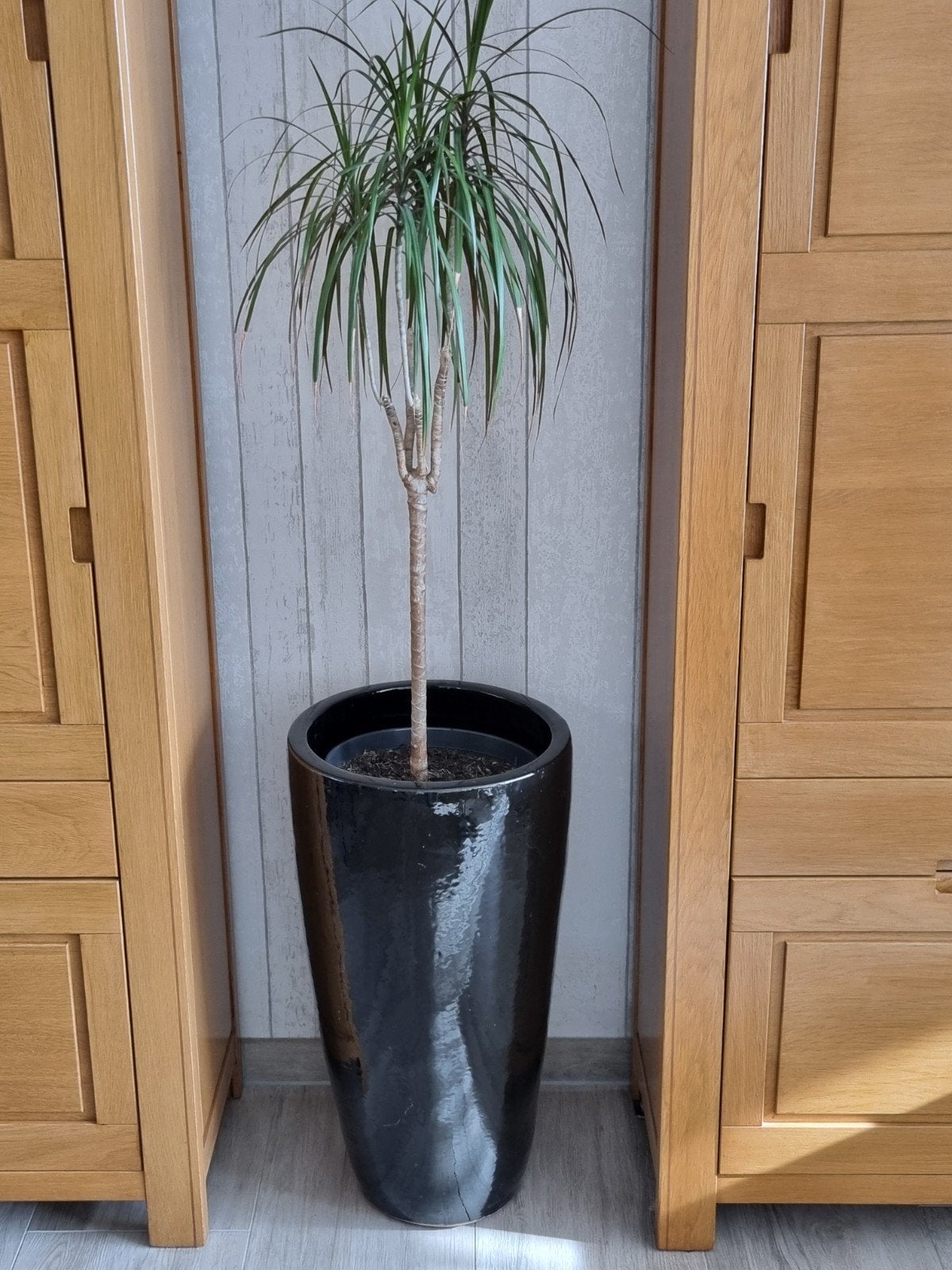 Hoogglans ZWARTE  VAAS - kan voor binnen  én   buiten, Huis en Inrichting, Ophalen, Zwart