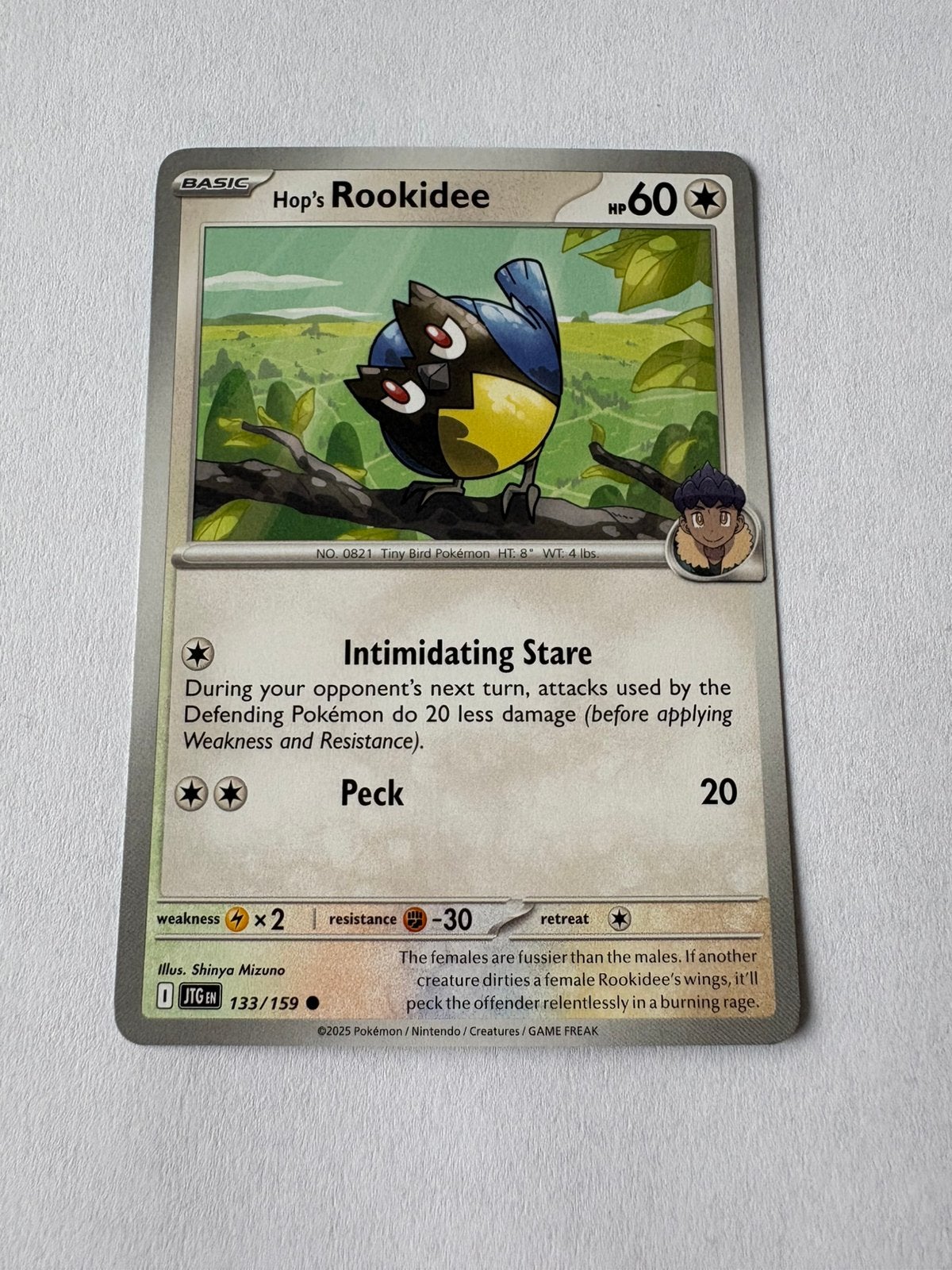 Pokémon kaart Basic Hop’s Rookidee, Ophalen of Verzenden, Nieuw