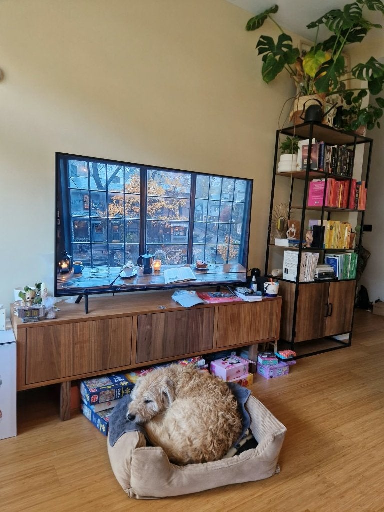 Samsung 4K QLED 55 inch Smart TV, Ophalen, 100 Hz, Samsung, 100 cm of meer