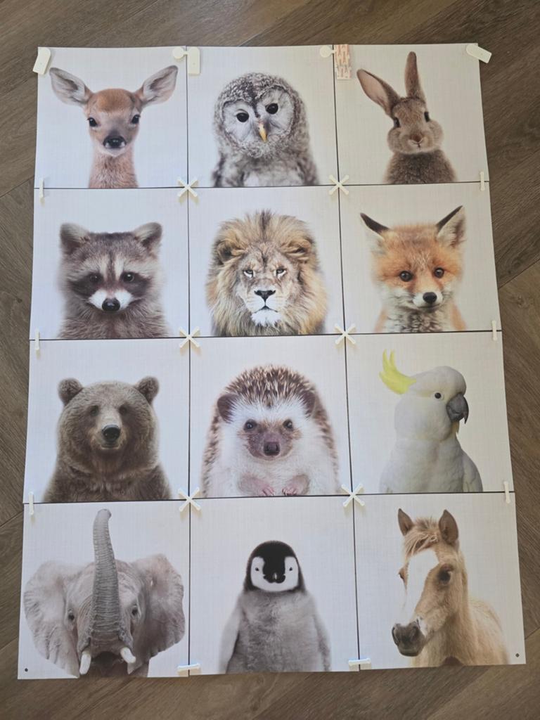 Ixxi wanddecoratie 60x80cm in goede staat, Huis en Inrichting, Woonaccessoires | Wanddecoraties, Ophalen of Verzenden, Zo goed als nieuw