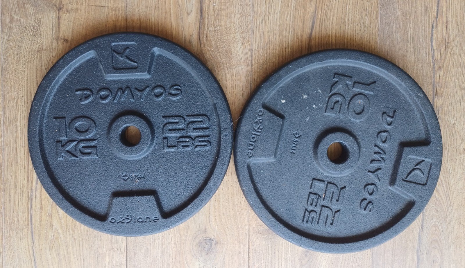 2x Gietijzeren Gewichten 10 kg, Sport en Fitness, Ophalen of Verzenden, Gebruikt, Halterschijven