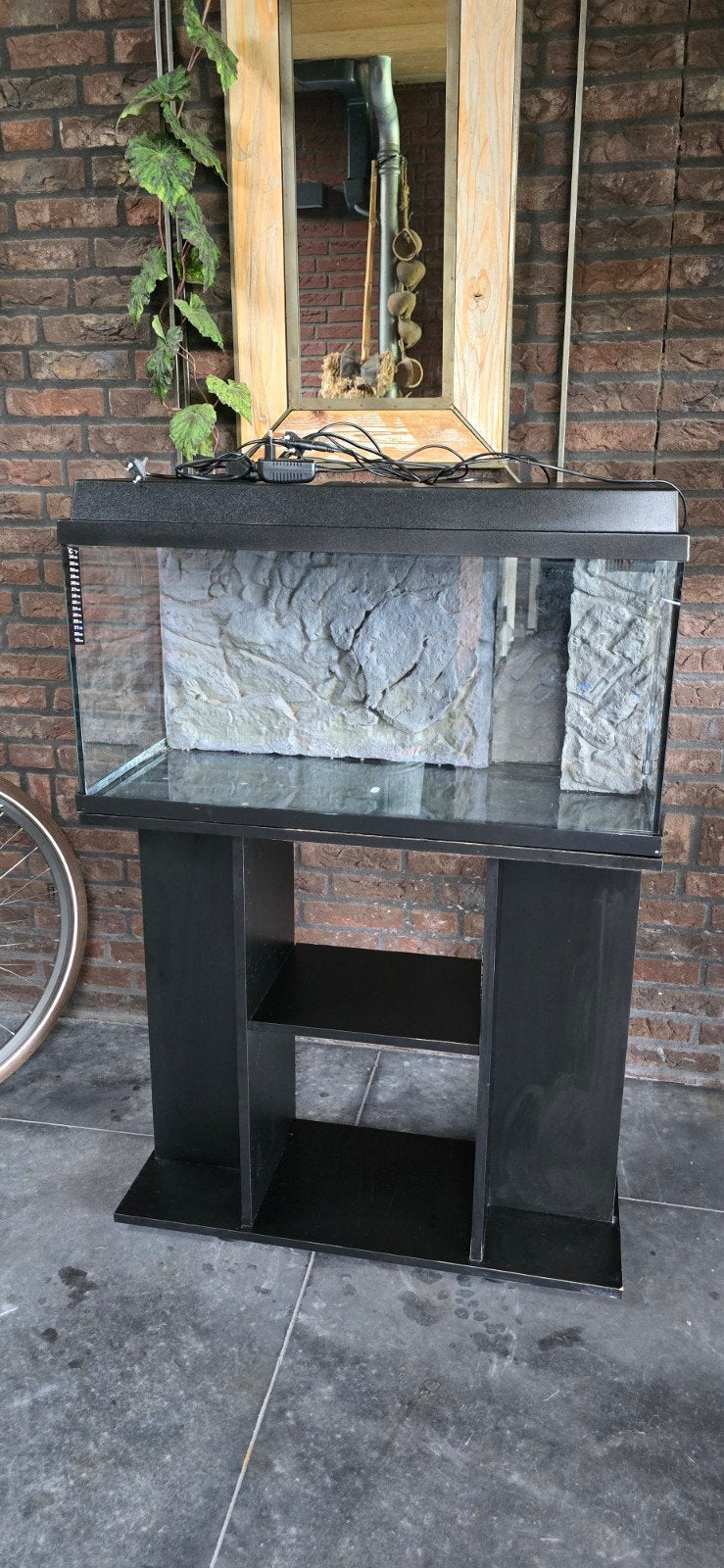 Juwel aquarium 110 liter met kast, Ophalen, Gebruikt, Leeg aquarium, Juwel