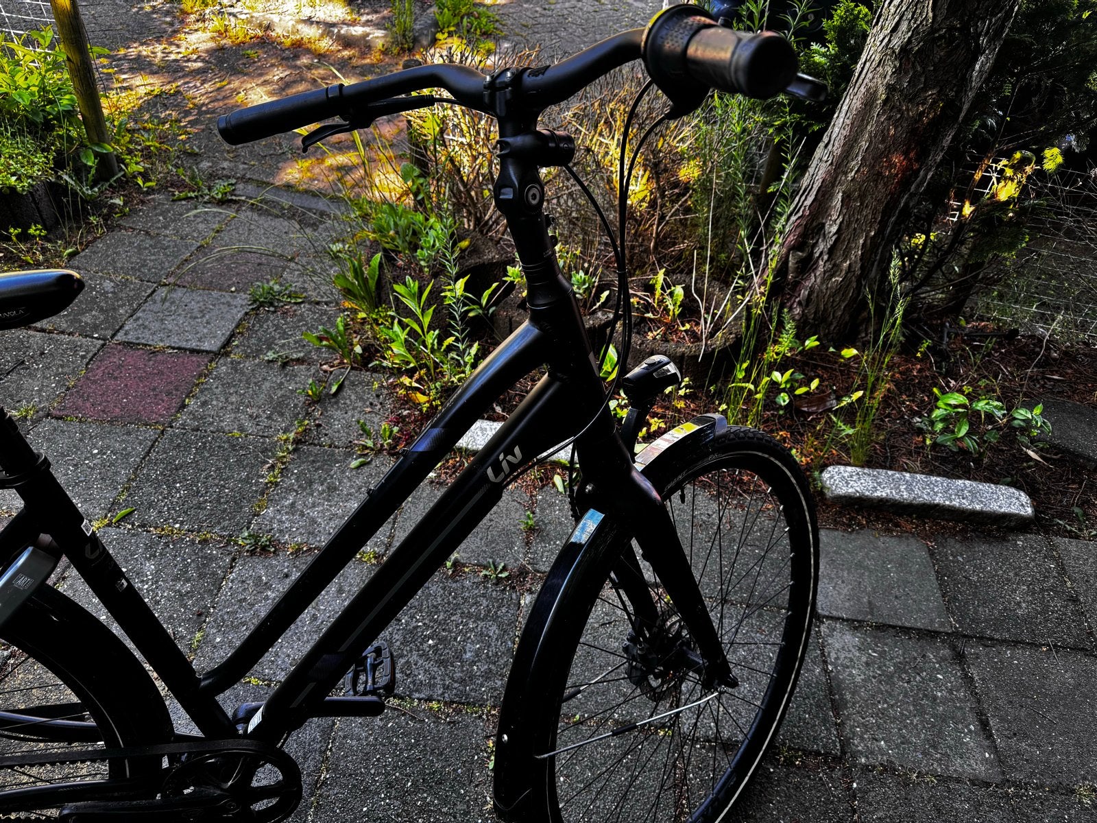 Giant Allure CS Liv Damesfiets - Zo goed als nieuw, 53 tot 56 cm, Zo goed als nieuw, Schijfrem, Ophalen