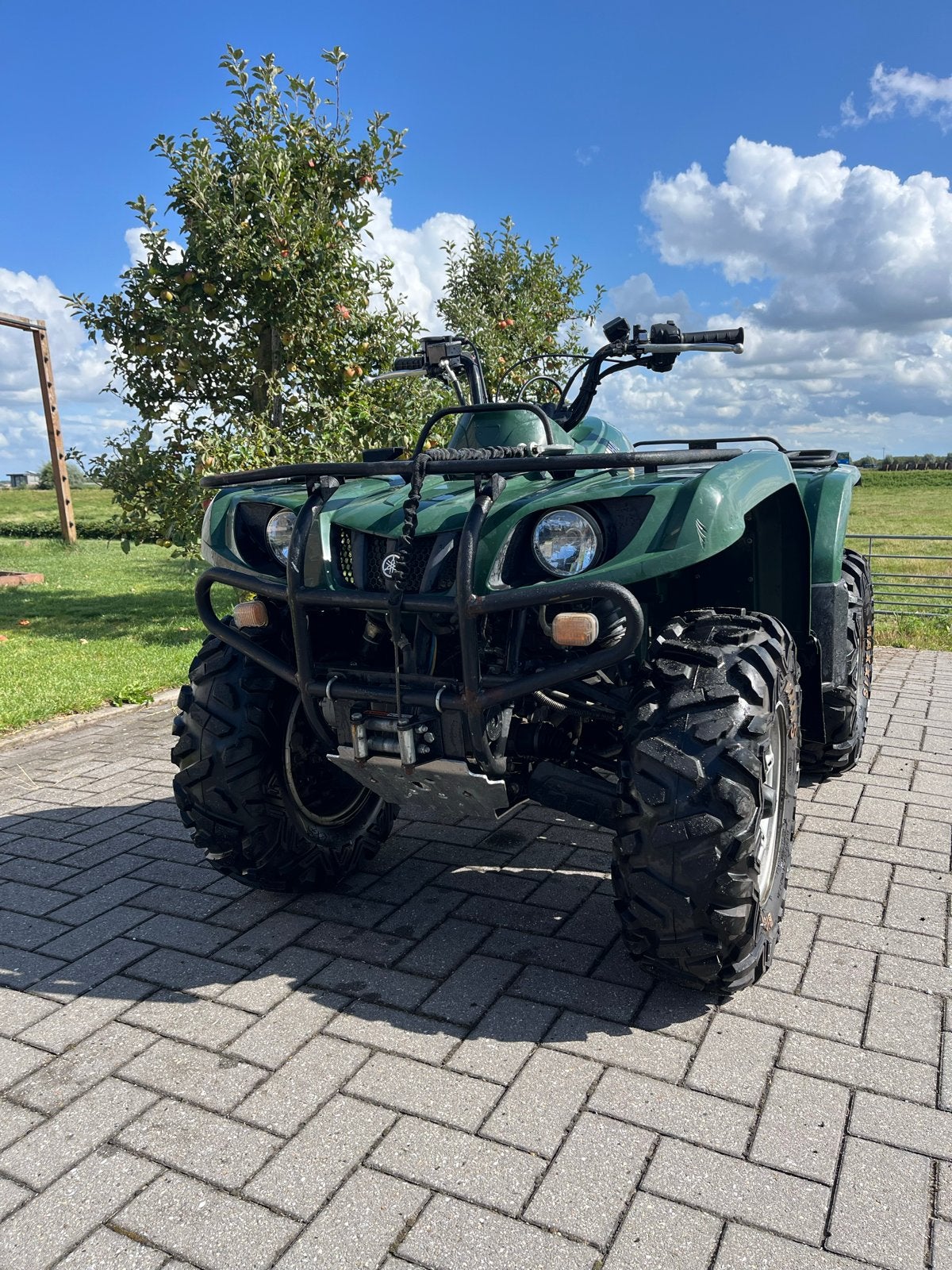 Yamaha Grizzly 350 4x4 uit 2010 met kenteken en lier, 1 cilinder, 350 cc