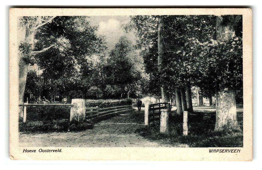 Wapserveen, Hoeve Oosterveld, Verzamelen, Ansichtkaarten | Nederland, Verzenden, 1920 tot 1940, Gelopen, Drenthe