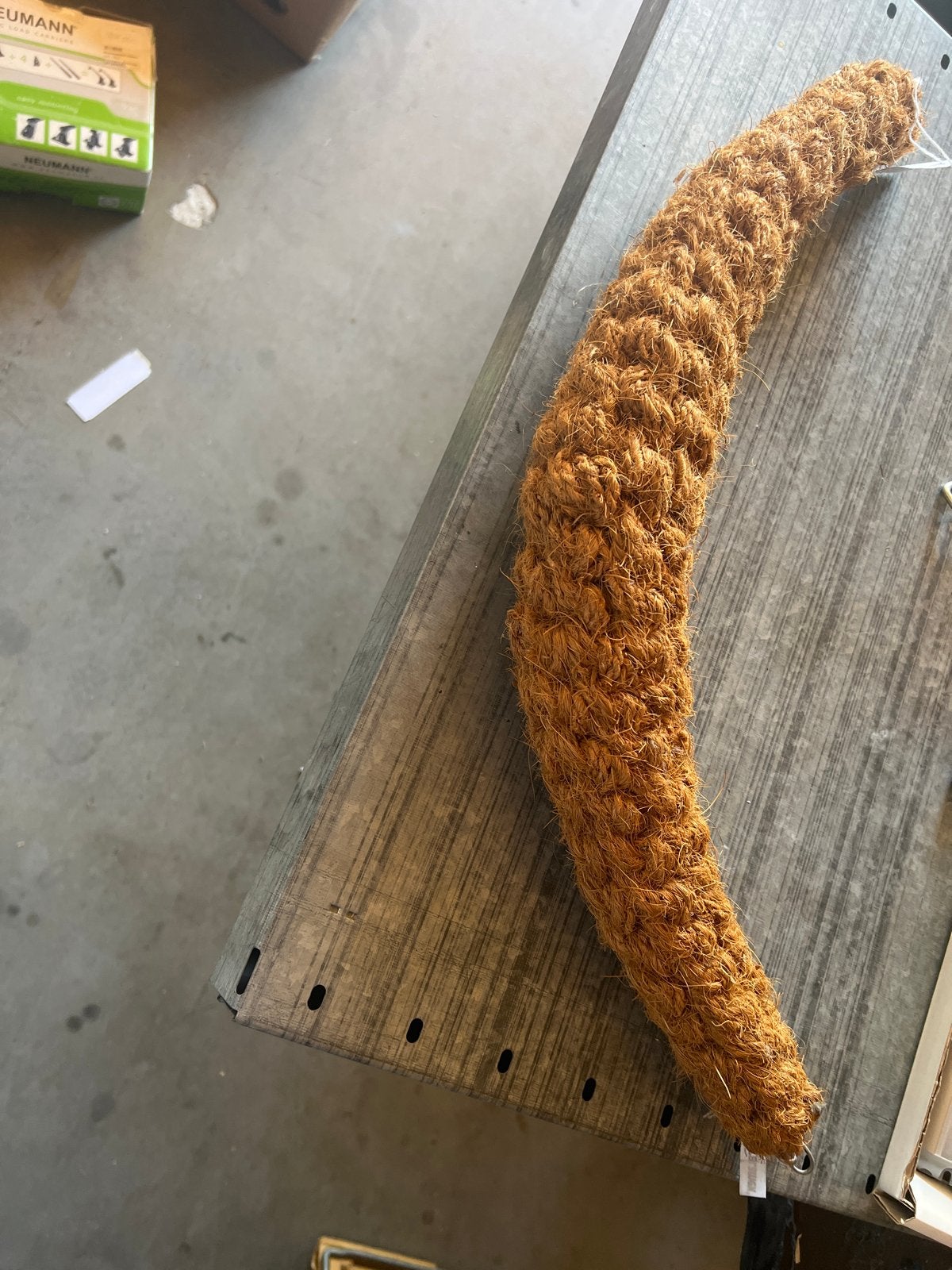 Kopleguaan groot 70cm -, Ophalen of Verzenden, Nieuw