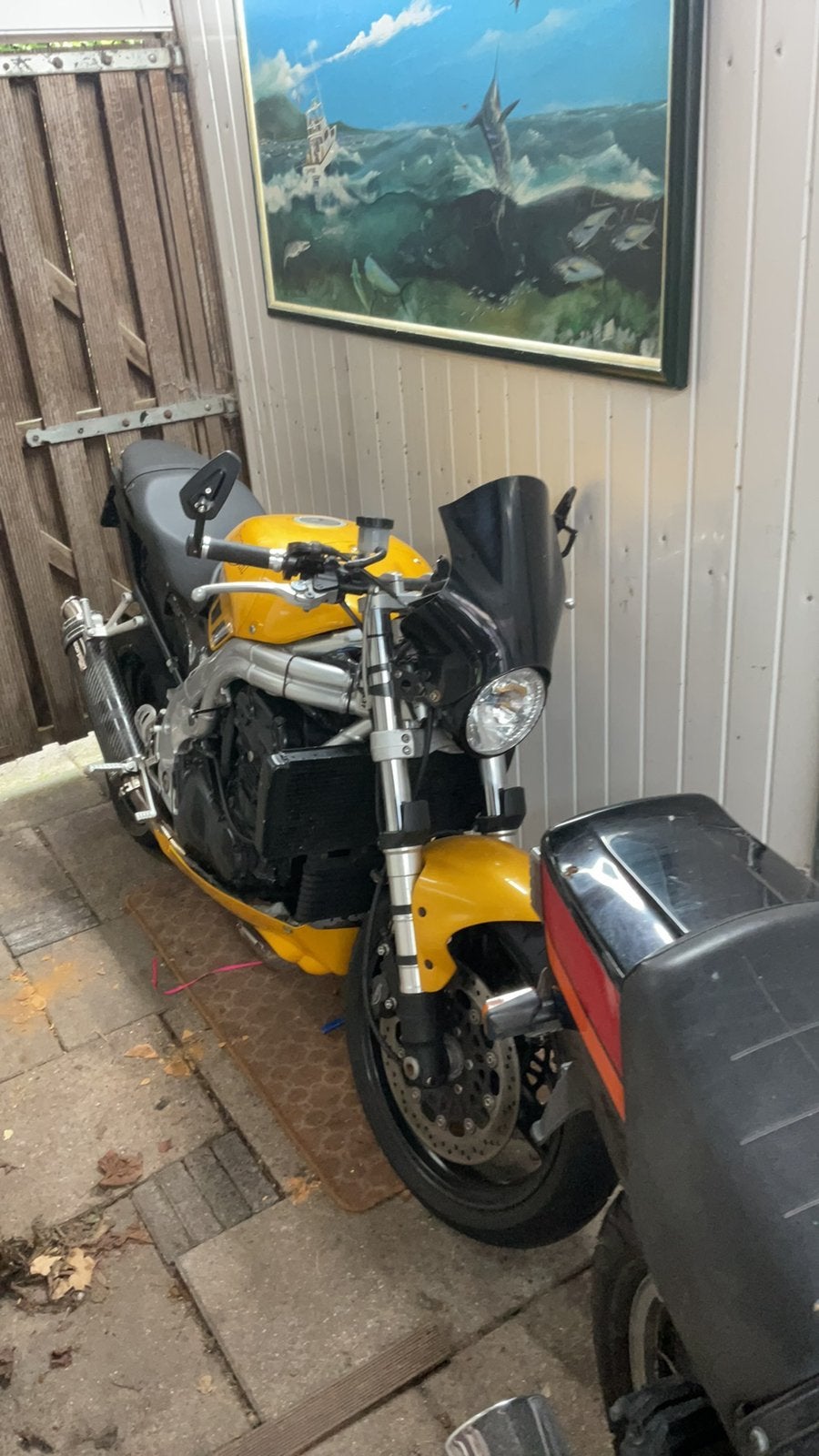 triumph daytona naked project t595 schuuropruiming, Ophalen, Gebruikt