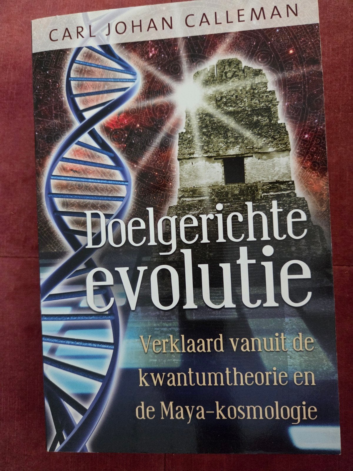Doelgerichte evolutie: Kwantumtheorie & Maya-kosmologie, Achtergrond en Informatie, Spiritualiteit algemeen, Ophalen of Verzenden