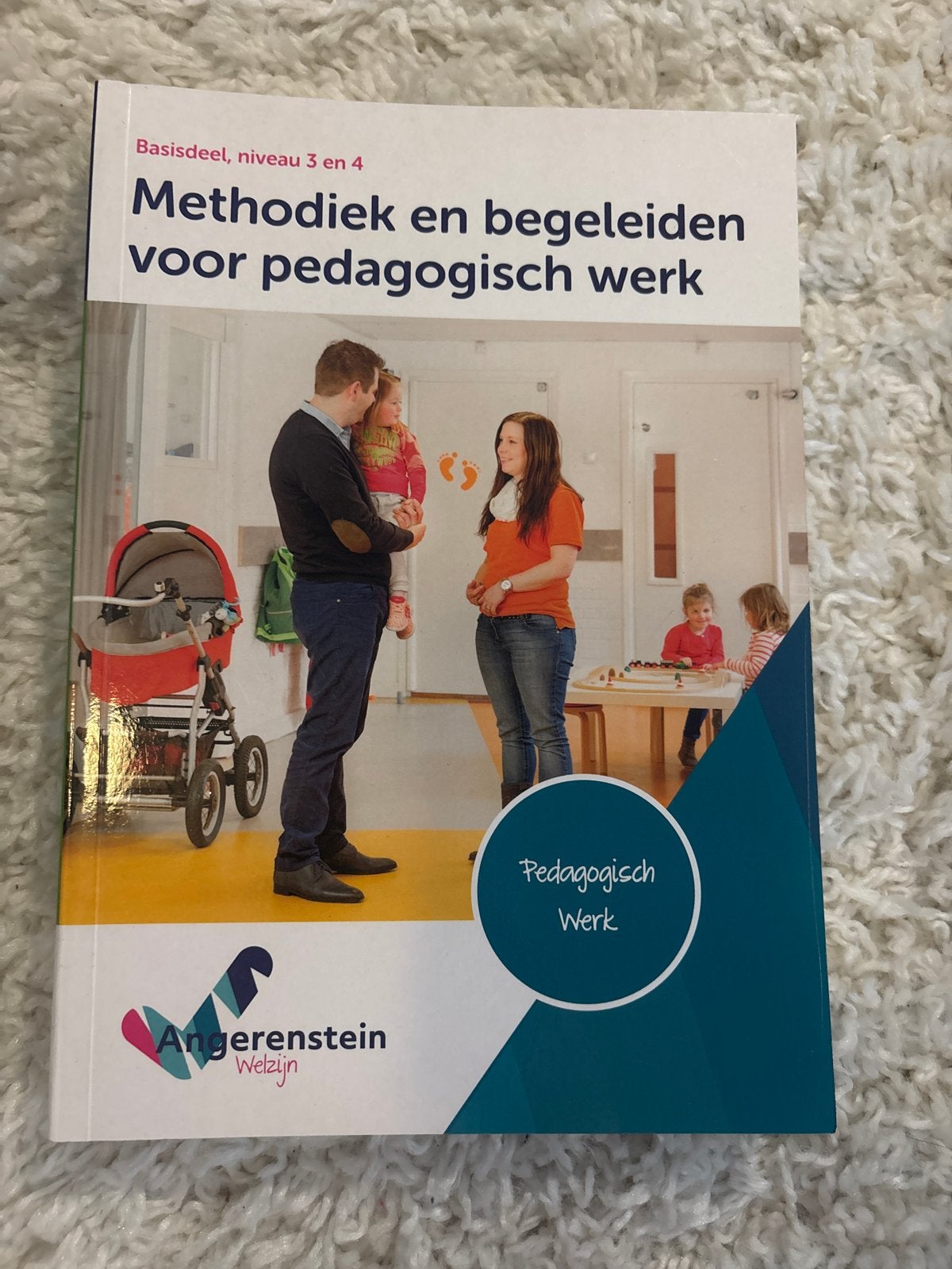 Methodiek en begeleiden voor pedagogisch werk, Boeken, Ophalen of Verzenden, Zo goed als nieuw, MBO