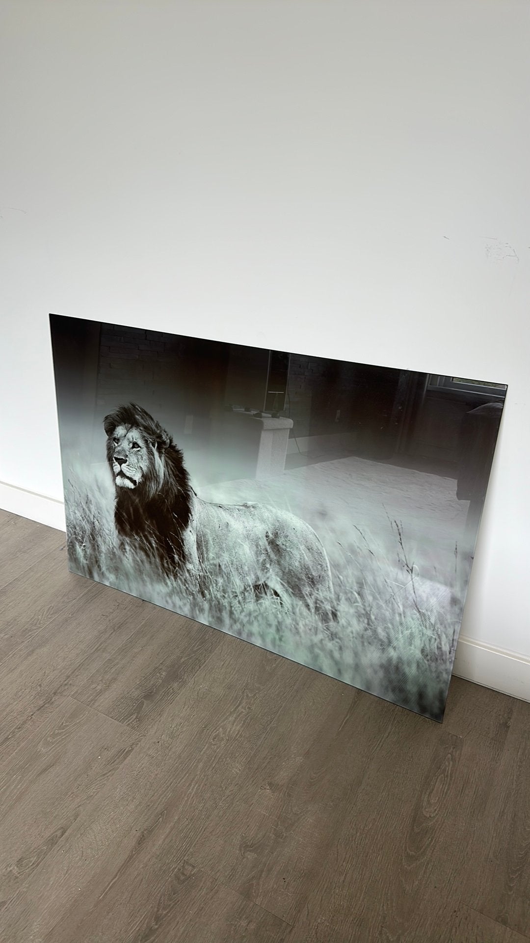 Plexiglas schilderij leeuw 120x80, Huis en Inrichting, Woonaccessoires | Schilderijen, Tekeningen en Foto's, Ophalen, Nieuw, Schilderij