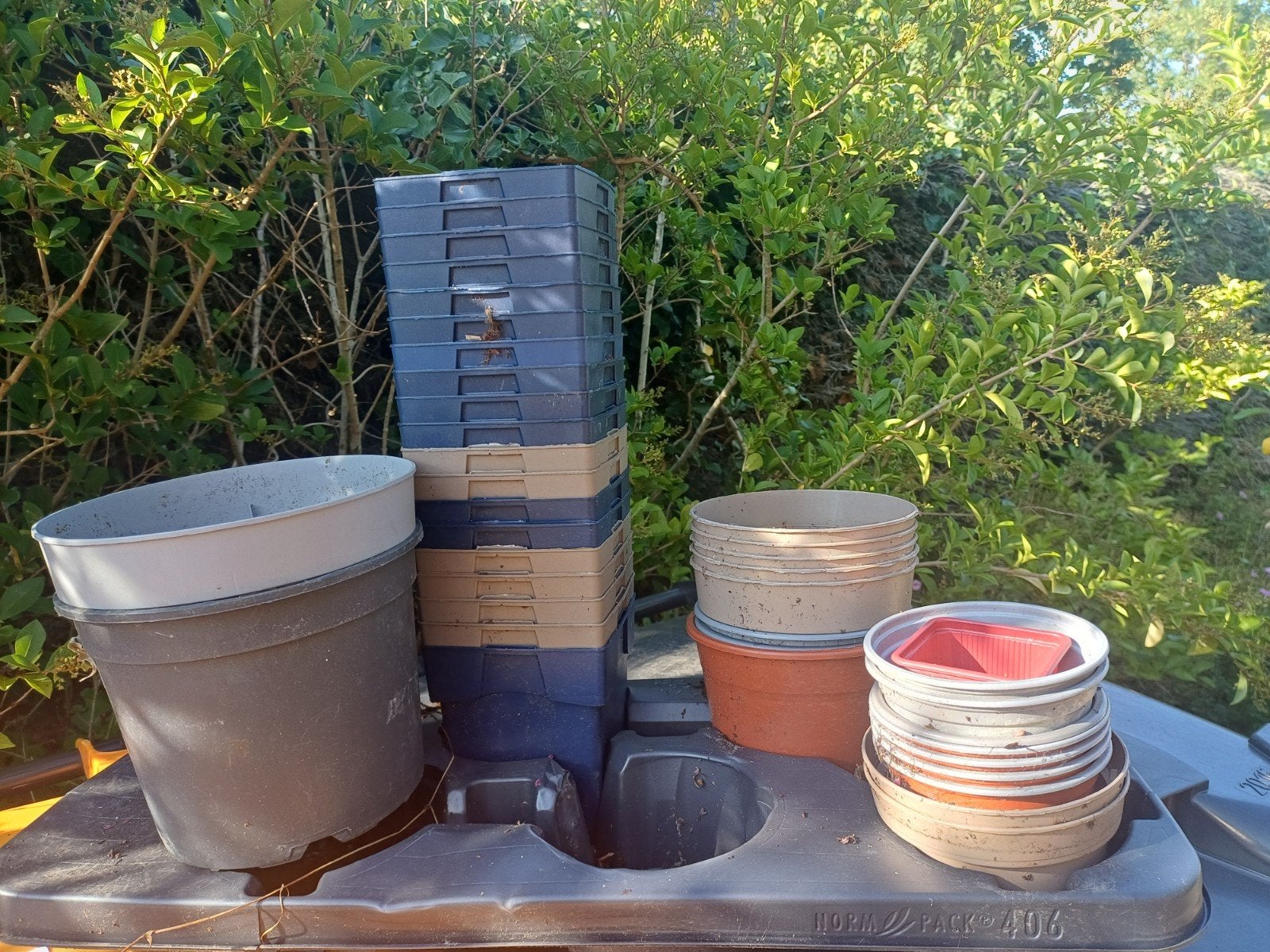 tuin, Tuin en Terras, Planten | Tuinplanten, Ophalen, Overige soorten, Volle zon