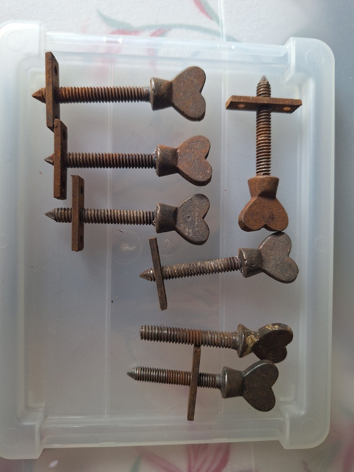 7 hart Belegschroeven - Vintage Schroeven met Vlinderkop, Doe-het-zelf en Verbouw, IJzerwaren en Bevestigingsmiddelen, Ophalen of Verzenden