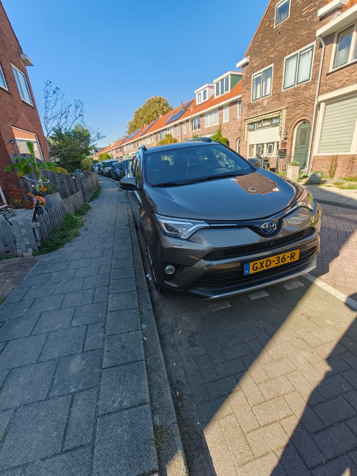 Toyota RAV4 2.5 Hybrid Dynamic Executive | 110.000 km