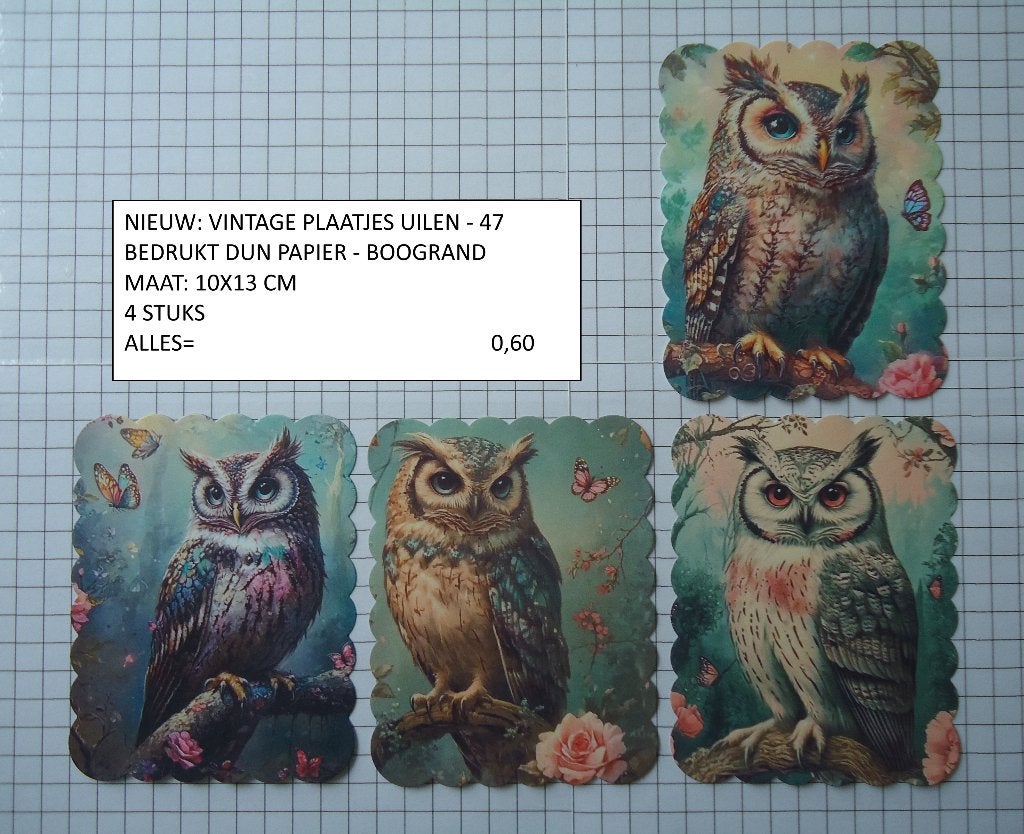 vintage plaatjes uilen 47 ( alleen verzenden, Ophalen, Nieuw, Papier of Karton, Overige merken