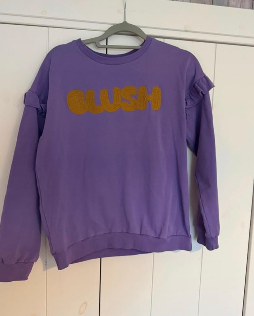 Petit Blush sweater 12Y nieuw, Kinderen en Baby's, Kinderkleding | Maat 152, Ophalen of Verzenden, Nieuw, Meisje, Trui of Vest