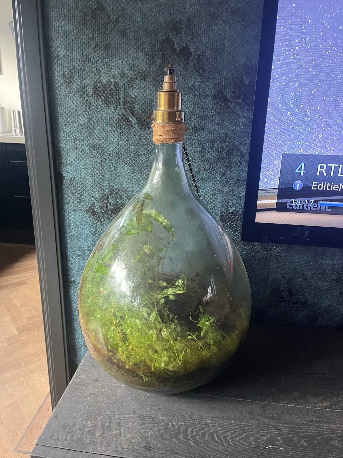 Zelfvoorzienend ecosysteem, Overige merken, Zo goed als nieuw, Glas, Groen
