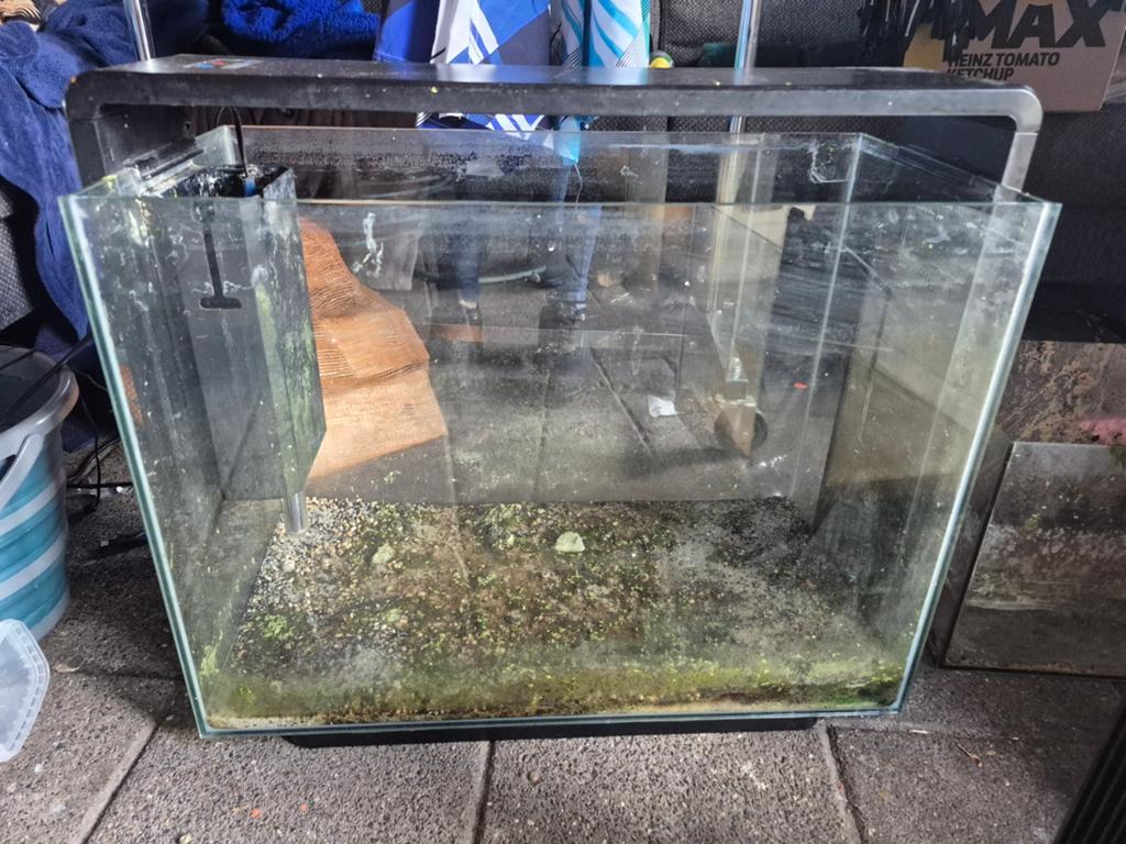 Compleet Aquarium (ca. 30-40 liter) – Ideaal voor beginners!, Dieren en Toebehoren, Vissen | Aquaria en Toebehoren, Ophalen of Verzenden