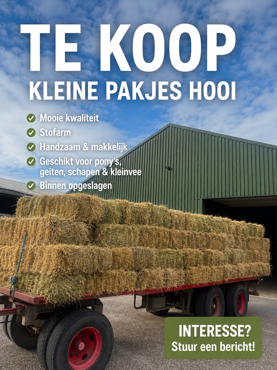 Te koop: mooie kleine pakjes hooi stofarm met analyse, Dieren en Toebehoren, Dierenvoeding, Ophalen of Verzenden, Vee