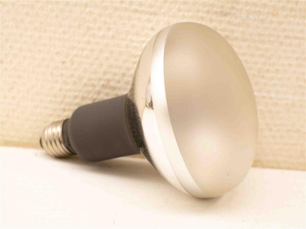 2 Philips Photolita lampen 38373, Ophalen of Verzenden, Gebruikt