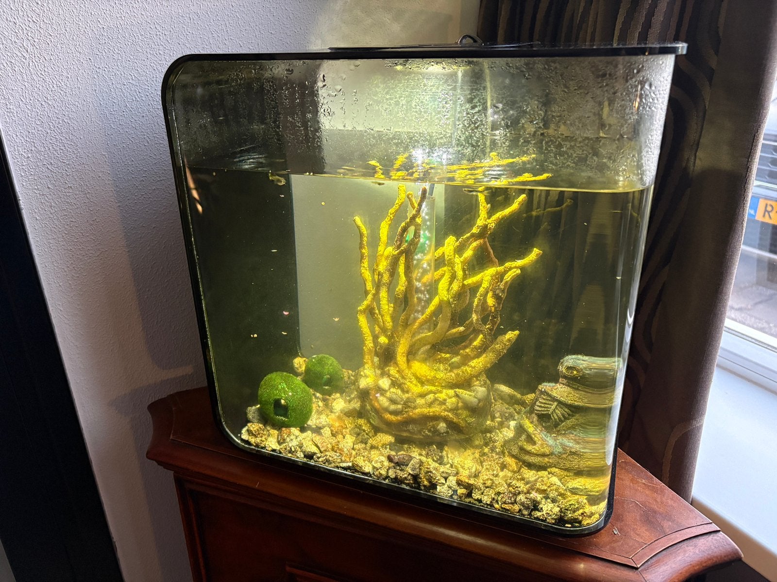 Biorb 30 compleet, Ophalen, Inclusief toebehoren, Gebruikt, Gevuld zoetwateraquarium