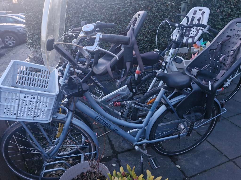 Cortina moederfiets ijsblauw met zitjes en krat, Fietsen en Brommers, Fietsen | Dames | Moederfietsen, Overige merken, 2 zitjes