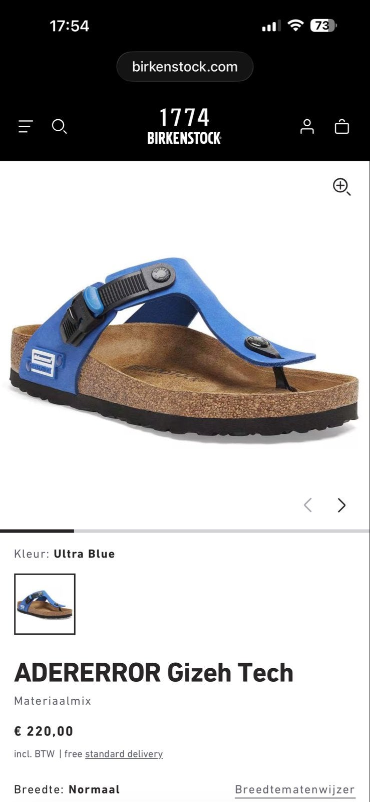 Birkenstock Maat 44, Ophalen of Verzenden, Gedragen, Blauw, Sandalen
