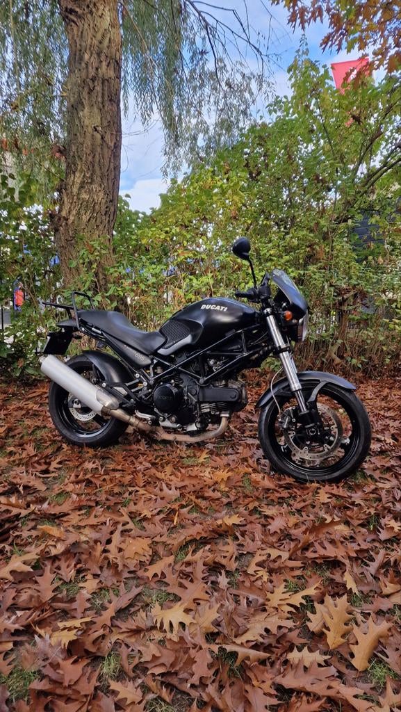 Ducati Monster 695 Dark 08 NL motor/geen import,Termignoni, Motoren, Motoren | Ducati, 2 cilinders, Motorrijbewijs A, Gebruikt