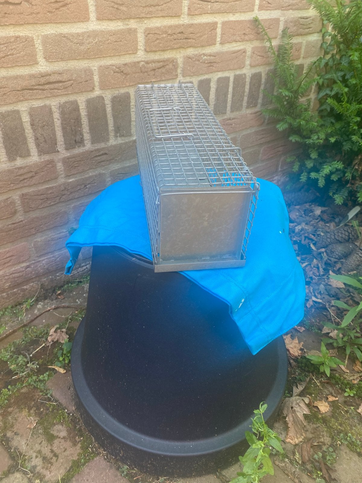 Ratten, muizen vangkooi, Ophalen, Zo goed als nieuw